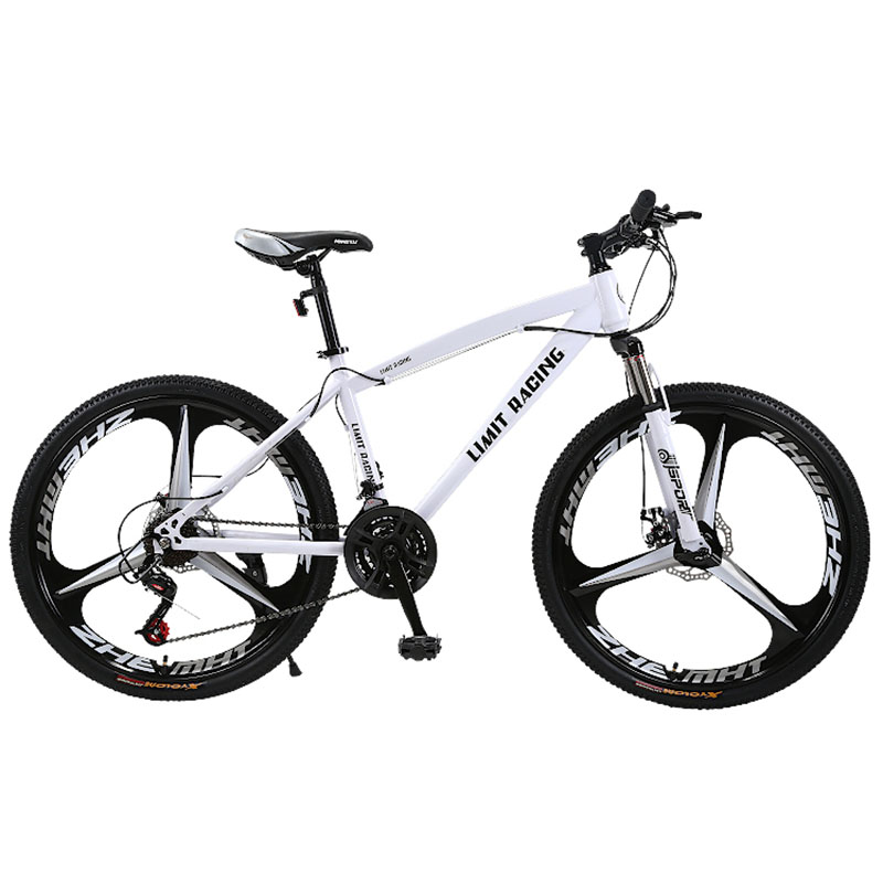 Vélo de route pliable à cadre pleine grandeur Gravel, puissants vélos à suspension intégrale, couple de vélos de route Litepro, sports de plein air